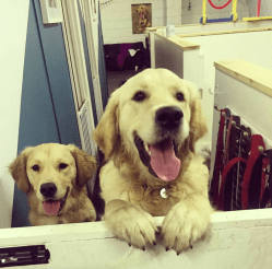 Screenshot 2019-05-03 at 15.42.28.png